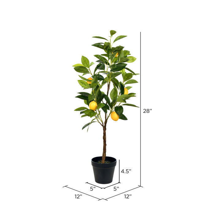 Gracie Oaks 28'' Faux Lemon Tree & Reviews Wayfair